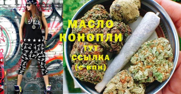 спиды Бородино