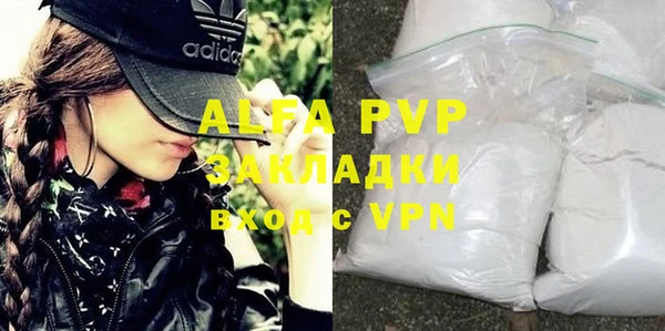 спиды Бородино