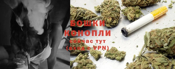 круглые Бронницы