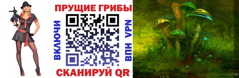 где найти наркотики  ОМГ ОМГ tor  Псилоцибиновые грибы мухоморы  Гаврилов-Ям 